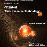 LILYEVE Hair Grow Turn Exosome Brush Ampoule Treatment